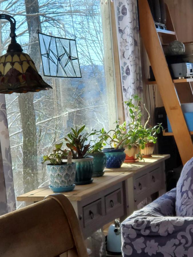 Treehouse Cathedral In Blue Ridge Mountains, Nc Villa Burnsville Kültér fotó
