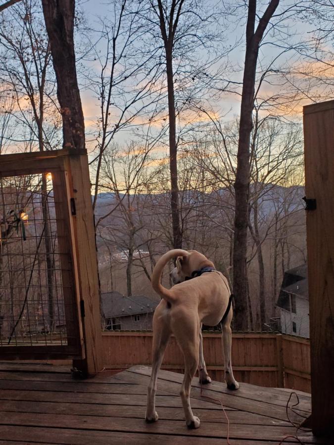 Treehouse Cathedral In Blue Ridge Mountains, Nc Villa Burnsville Kültér fotó