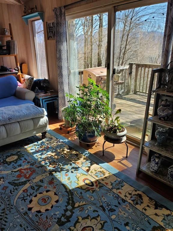 Treehouse Cathedral In Blue Ridge Mountains, Nc Villa Burnsville Kültér fotó